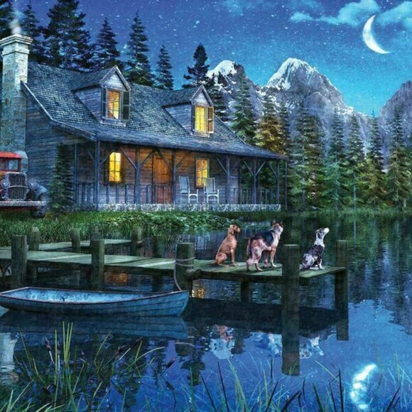 🧩 NEW Springbok Moonlit Night 1000 Piece Jigsaw Puzzle - Picture 2 of 4